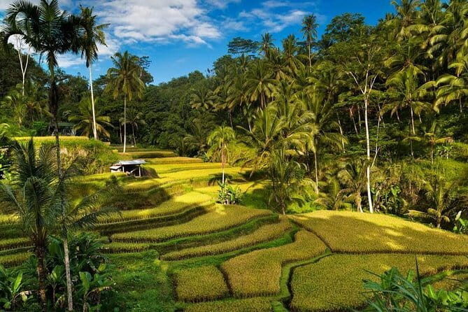 Exploring Bali in 3 Days: Discover Top Places in Bali - Good To Know