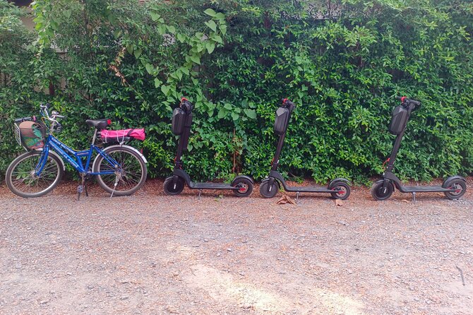 Exploring Bangkachao (Green Lung of Bangkok) by E-Scooter - Why Choose E-Scooters for Exploring Bangkachao?
