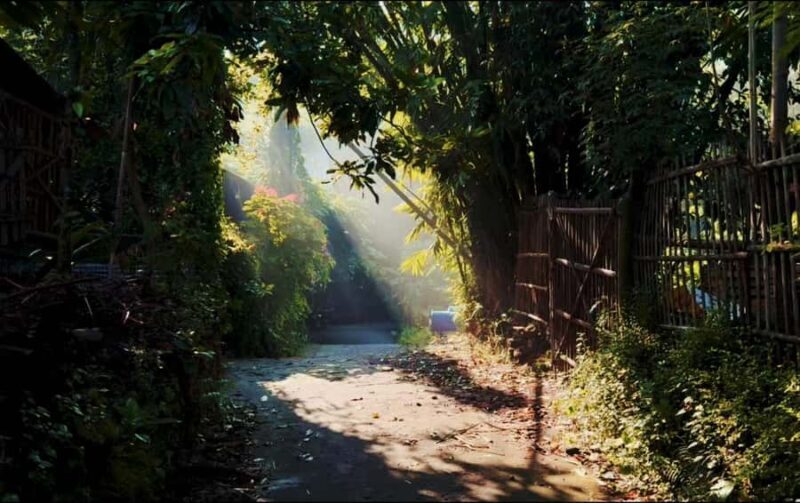 Exploring Bantul: Riding into the Heart of Rural Yogyakarta. - An Authentic Ride through Bantuls Countryside