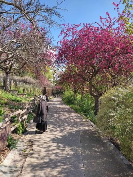 Exploring Belleville: Parisian Culture&Creativity in Motion - Directions