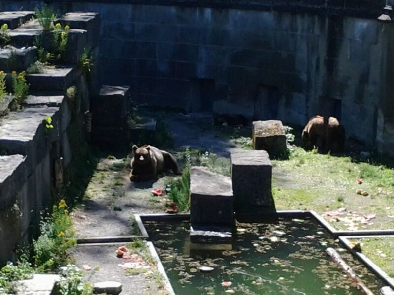 Exploring Bern: Swiss Capital Private Walking Half-Day Tour - Good To Know