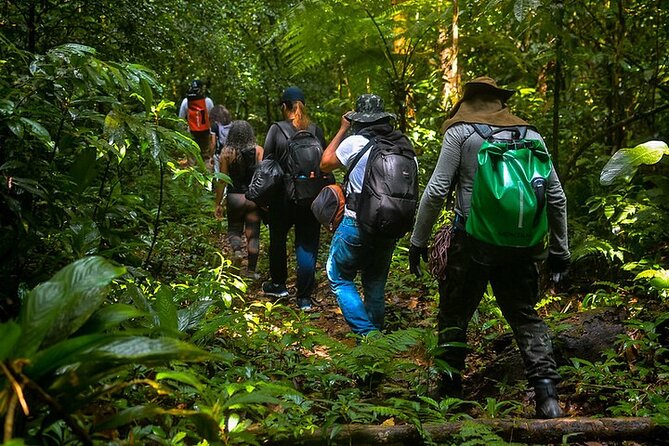 Exploring Bertioga's Coastal Trail: Nature Unleashed - Flora and Fauna Highlights