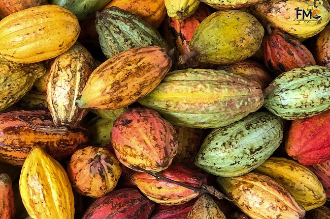Exploring Cai Rang Floating Market, Cacao Farm and the Hidden Small Canal - Breakfast on a Boat