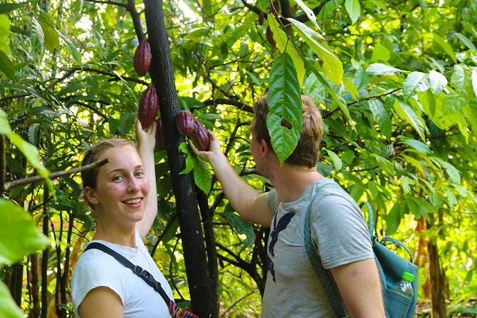 Exploring Cai Rang Floating Market, Cacao Farm and the Hidden Small Canal - Visit to a Cacao Farm
