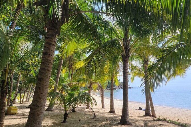 Exploring Cham Islands Day Tour by Speed Boat - Who Is This Tour Best Suited For?