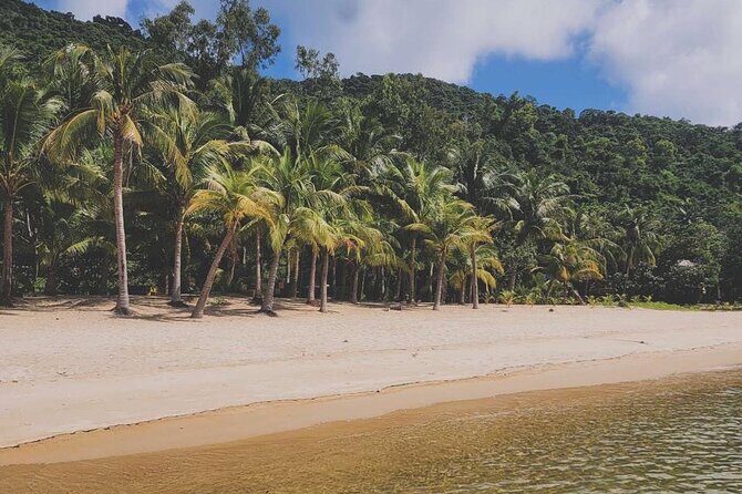 Exploring Cham Islands Day Tour by Speed Boat - Authentic Insights from Reviews