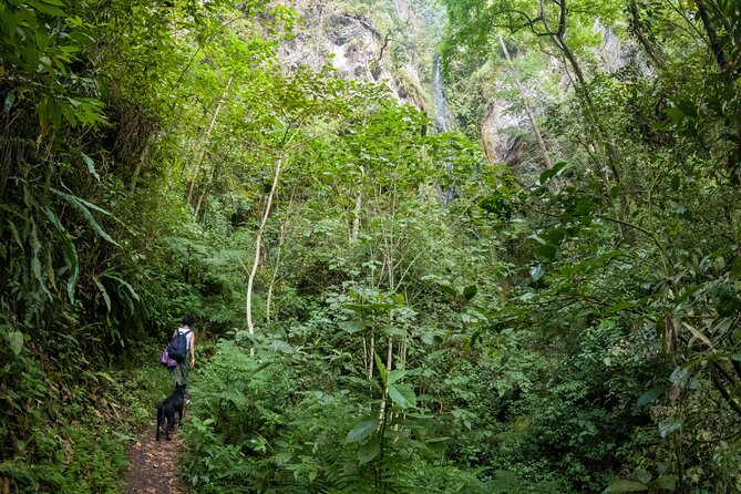Exploring Chicaque Natural Park: A Unique Experience - Park Overview