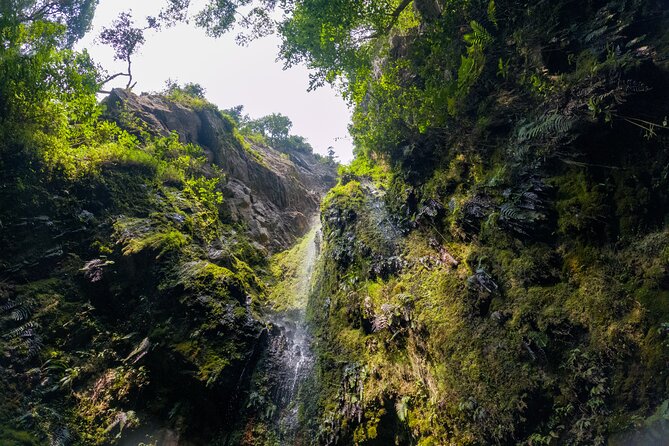 Exploring Chicaque Natural Park: A Unique Experience - Visitor Experience