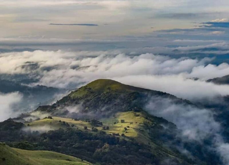 Exploring Coorg: Guided Full Day Tour in Car from Mysore - Introduction: Why Choose a Guided Tour from Mysore to Coorg?