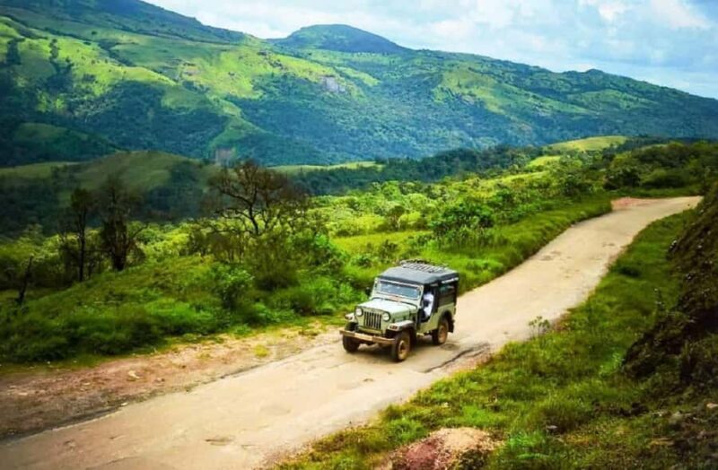 Exploring Coorg: Guided Full Day Tour in Car from Mysore - Final Thoughts: Is It Worth It?