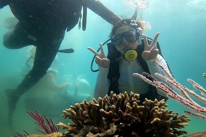 Exploring Coral Reef Snorkeling and Floating Bar Party Nha Trang - Exploring Coral Reef Snorkeling and Floating Bar Party Nha Trang — A Complete Review