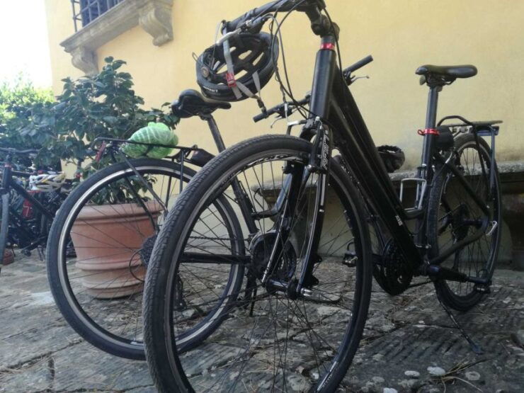Exploring Countryside and City Surroundings - 1 Day Rental - Booking Information