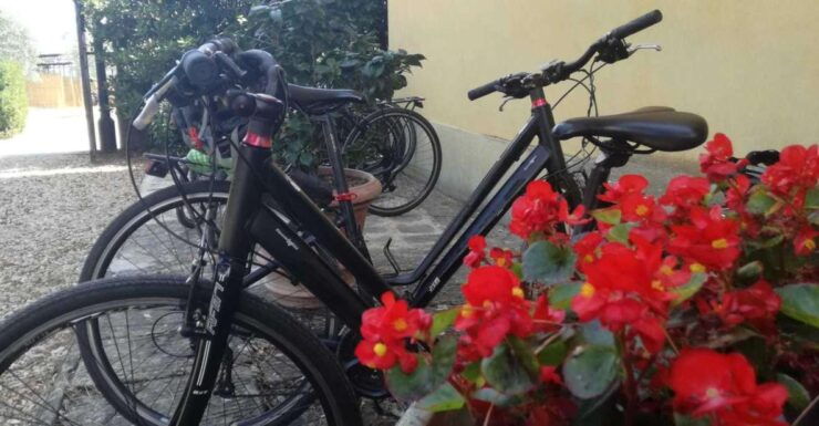Exploring Countryside and City Surroundings - 1 Day Rental - Experience Details
