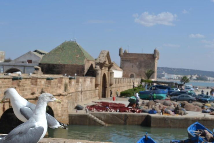 Exploring Essaouira: A One-Day Journey to the Charming Coast - Experience Highlights