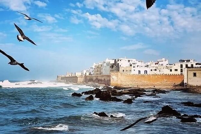 Exploring Essaouira in a Day Trip From Marrakech - Itinerary Highlights