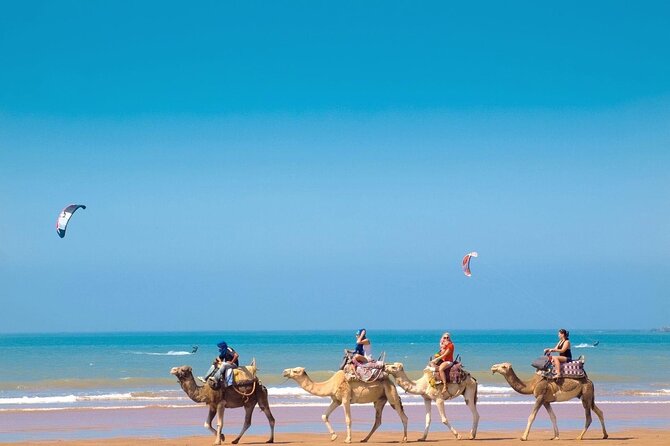 Exploring Essaouira in a Day Trip From Marrakech - Must-See Attractions