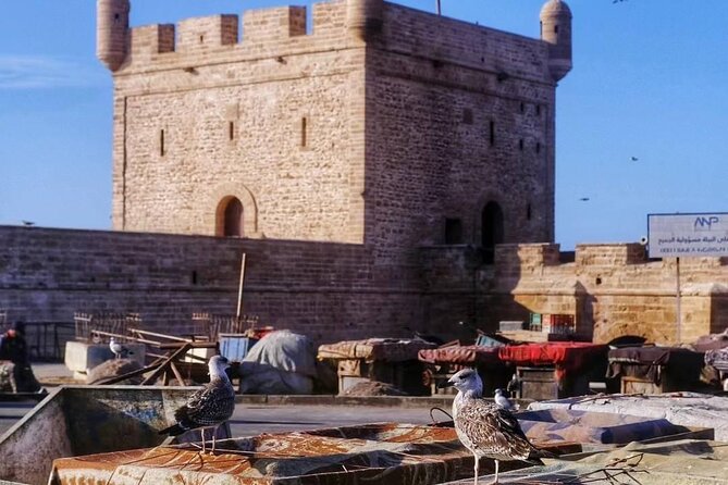 Exploring Essaouira in a Day Trip From Marrakech - Insider Tips