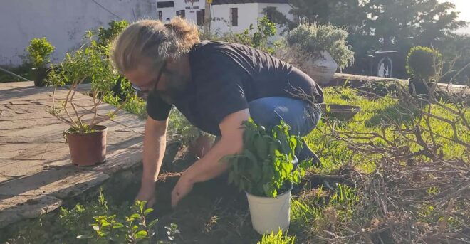 Exploring Herbal Treasures: A Guided Herbal Walk on Pelion - Herbal Tea Tasting Experience