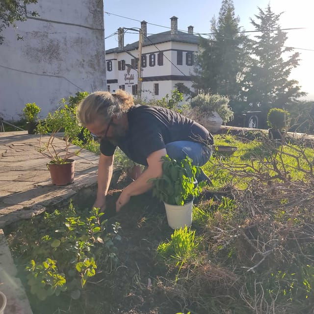 Exploring Herbal Treasures: A Guided Herbal Walk on Pelion - Preparation for Your Adventure