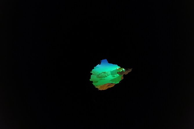 Exploring Hidden Cenotes at Playa Del Carmen - Cenote Tours and Packages Available