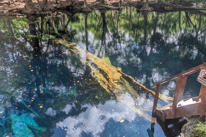 Exploring Hoyo Claro: Hidden Gem in Punta Cana - Experience Details