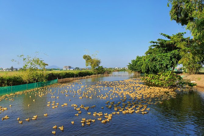 Exploring Hues Countryside on a Half-Day Tour by Bicycle - Tour Highlights