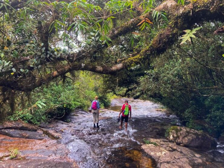 Exploring Knuckles: Hiking the Hidden Gem of Sri Lanka - Activity Details