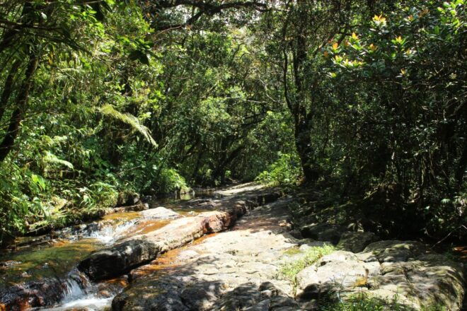 Exploring Knuckles: Hiking the Hidden Gem of Sri Lanka - Inclusions