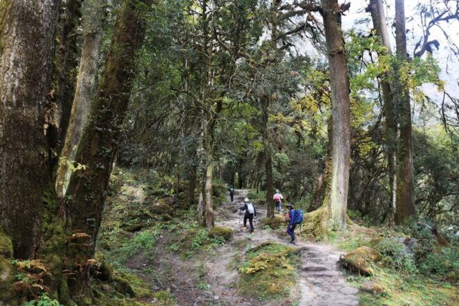 Exploring Langtang: a 12-DAY Trek From Kathmandu - Important Trekking Information