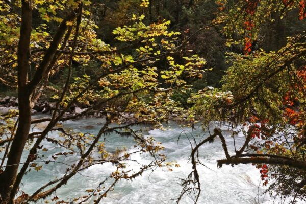 Exploring Langtang: a 12-DAY Trek From Kathmandu - Cultural Insights and Experiences