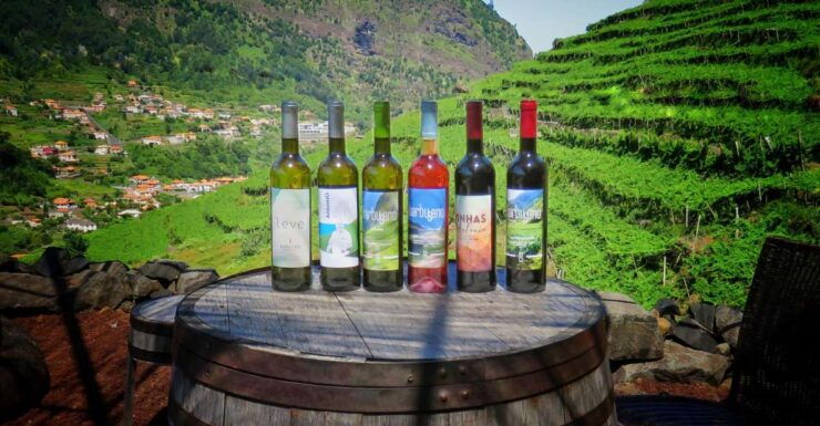 Exploring Madeira's Countryside and Vineyards 4x4 Odyssey - Highlights and Activities to Expect