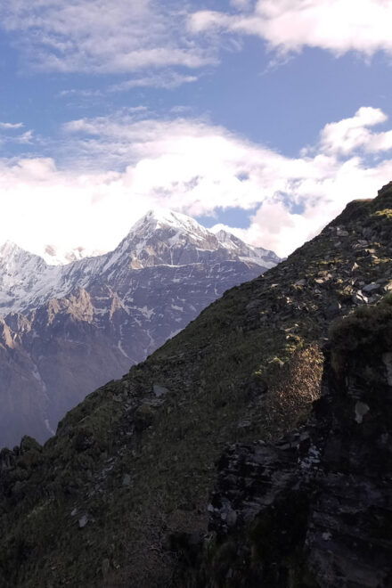 Exploring Mardi Himal: A 5-Day Trek Bird Watching Highlights - Day 2: Pothana to Forest Camp