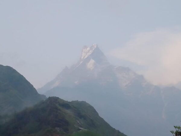 Exploring Mardi Himal: A 5-Day Trek Bird Watching Highlights - Pricing and Booking Details