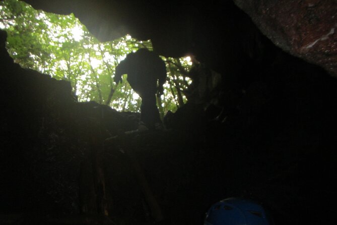 Exploring Mt Fuji Ice Cave and Sea of Trees Forest - Additional Information