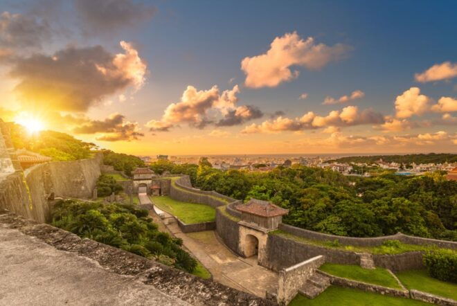 Exploring Okinawa's Natural Beauty and Rich History - Traditional Okinawan Cuisine: Delight Your Taste Buds