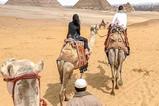 Exploring Pyramids Area With a Horse or Camel Ride - Operator