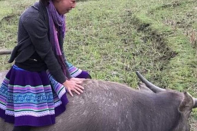 Exploring Sapa Eco Adventure With Local Host - Operator Information