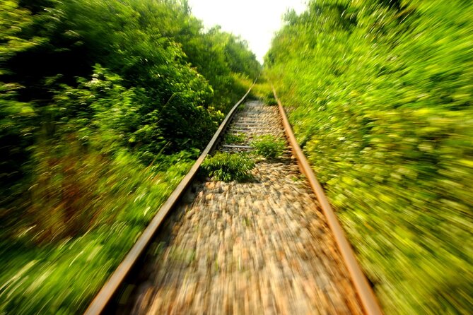 Exploring Siem Reap and Battambang: A Full Day Tour - Angkor Wat Visit