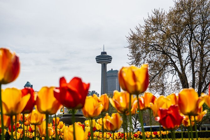 Exploring the Canadian Falls: Boat Cruise & Skylon Tower From USA - Exploring Niagara Falls: Activities and Attractions