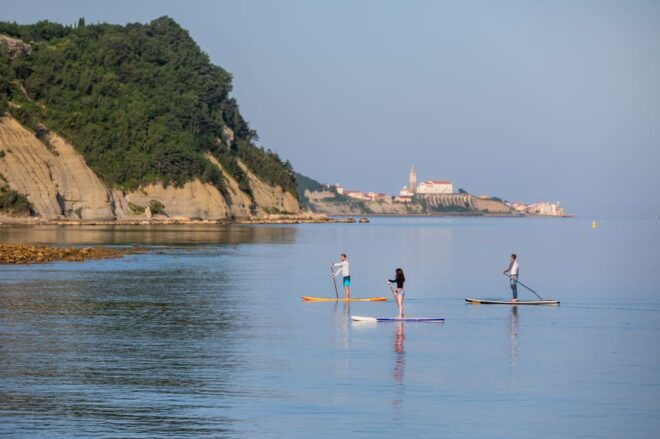 Exploring the Coast: SUP Adventure From Piran to Strunjan - Inclusions