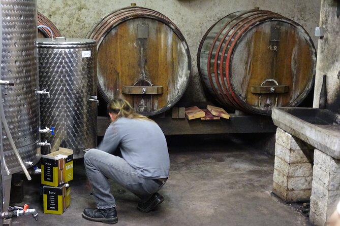 Exploring the Culinary Heritage of Kras Tour From Ljubljana, Koper or Trieste - Visit Attractions