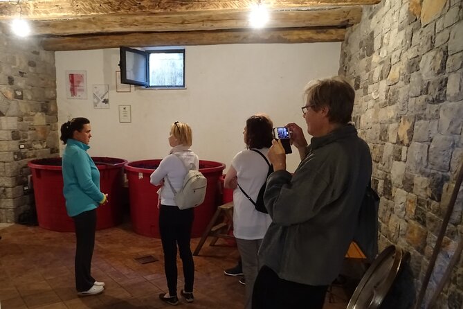 Exploring the Culinary Heritage of Kras Tour From Ljubljana, Koper or Trieste - Pickup Information