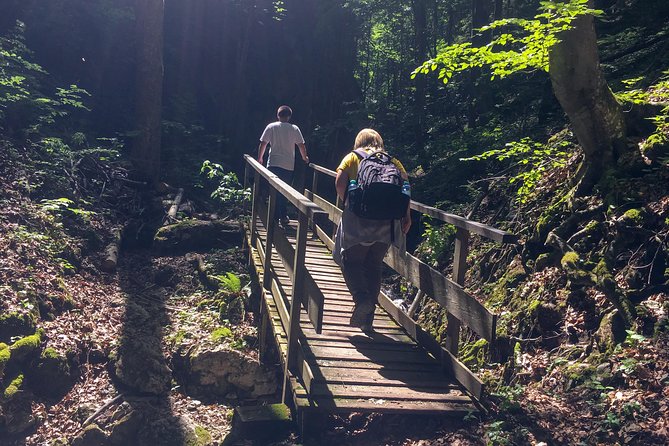 Exploring the Gutenstein Alps - Additional Information and Requirements