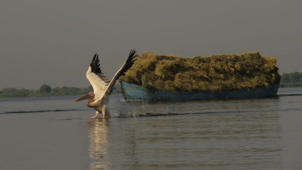 Exploring the Magic of the Danube Delta Through Photo Lenses - Tips for Capturing the Delta