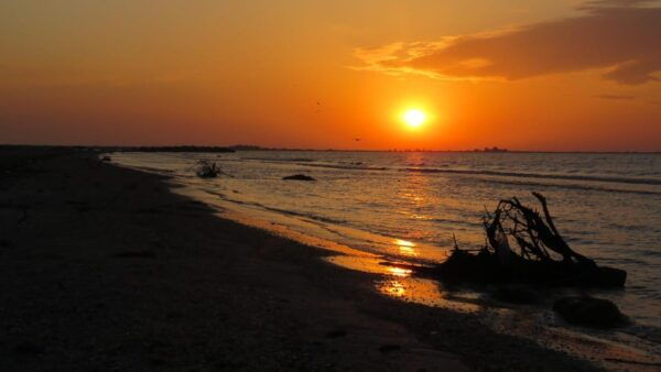 Exploring the Magic of the Danube Delta Through Photo Lenses - Frequently Asked Questions