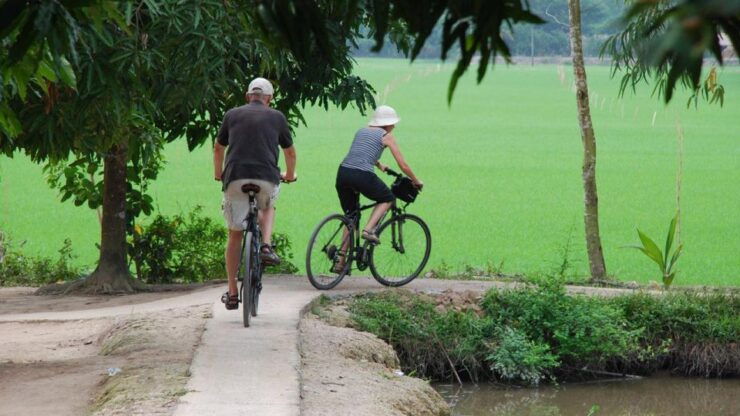 Exploring the Mekong Delta by Biking: A Cycling Adventure - Tour Highlights