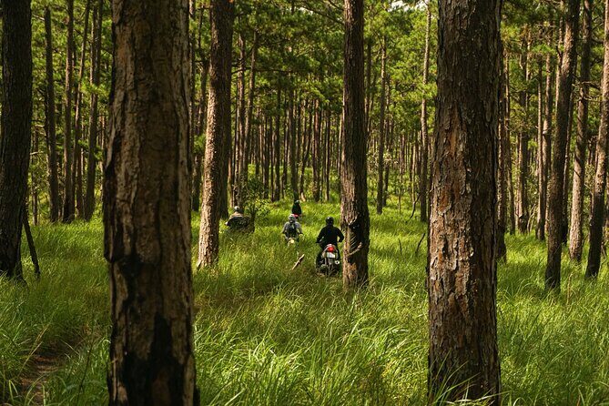 Exploring the Seven Tier Waterfall Tour - The Experience from Reviews