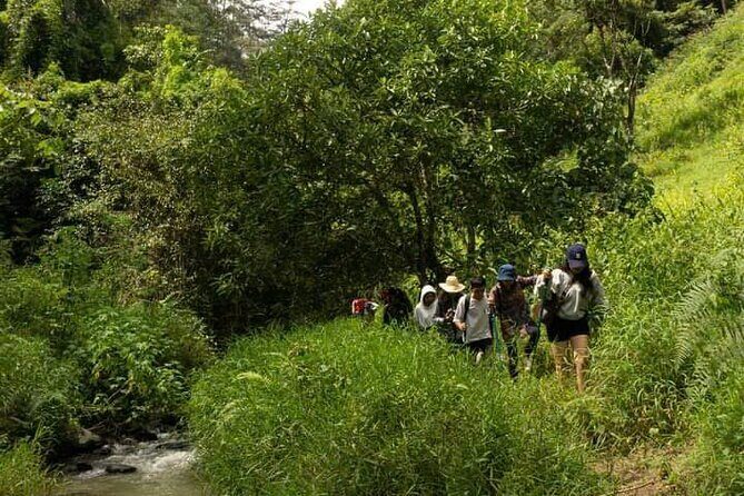 Exploring the Seven Tier Waterfall Tour - Why This Tour Offers Great Value