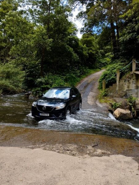 Exploring the Tenth Island Full Day Nordeste by SUV - Nordeste Forest Reserves Exploration