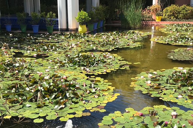 Exploring the Treasures of Marrakech With a Local Expert - Rich History of Marrakech Unveiled